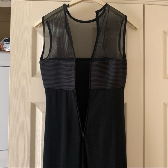 Designer Tadashi Shoji - Floor Length Mesh Dress - Size 02P - Picture 7 of 8